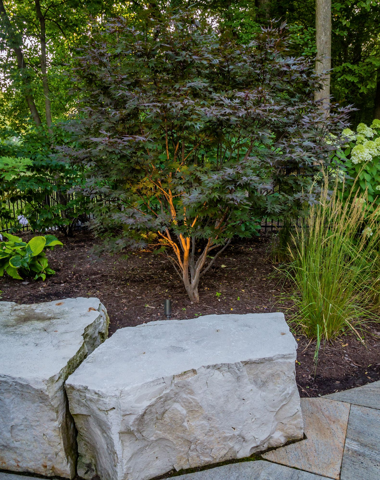 2020_08_04 Warrenville Pool-027