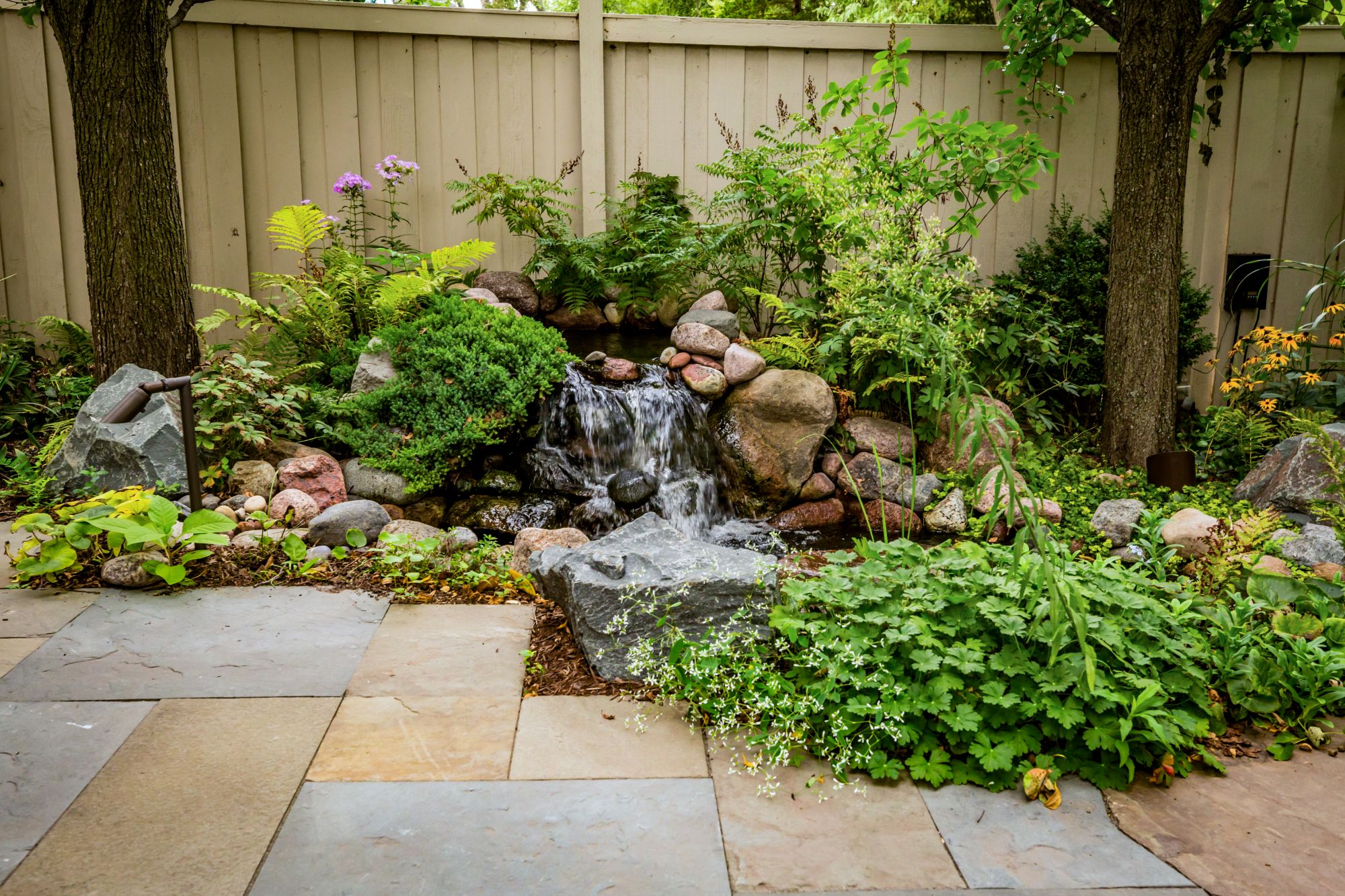 2021_09_02 Glen Ellyn Landscape-19