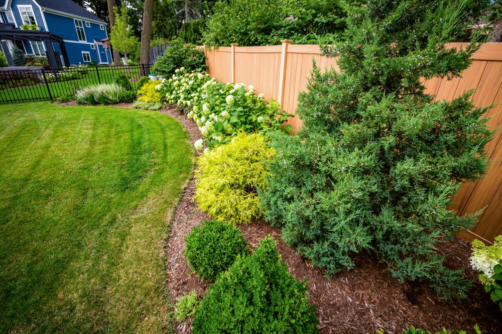 2022_07_26 Glen Ellyn Patio-15